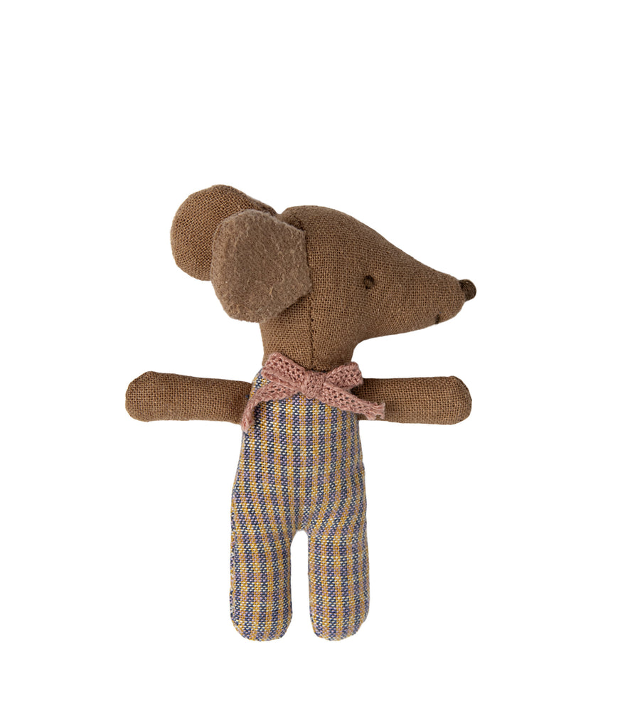 Sleeping girl baby mouse in a box